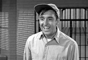 Gomer Pyle, USMC  Complete Series DVD