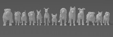 Miniaturas - Perros Razas Medianas