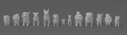 Miniaturas - Perros Razas Pequeñas