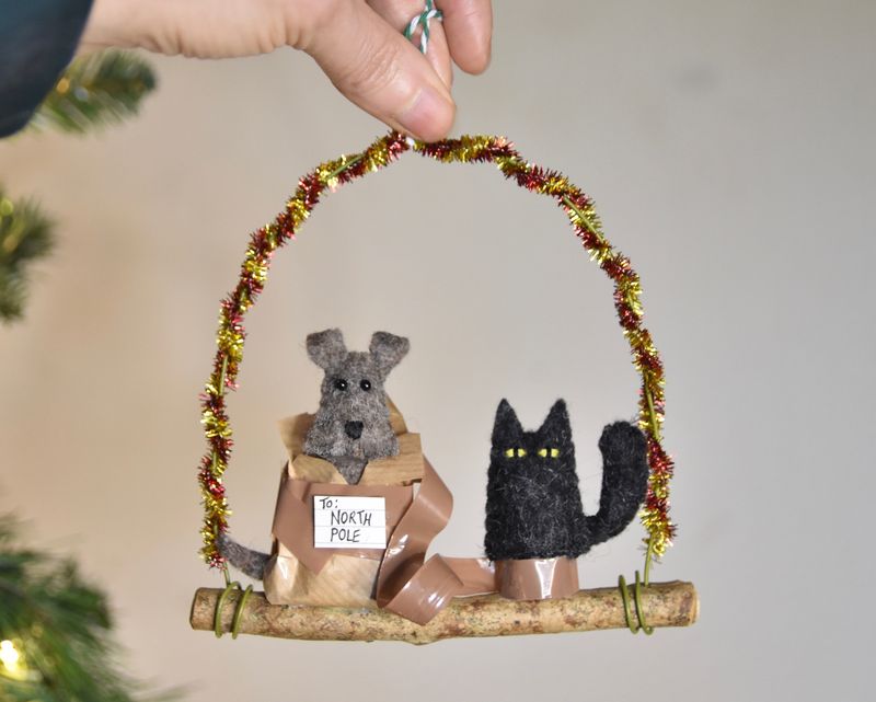 Naughty Kitty with Cellotape! 