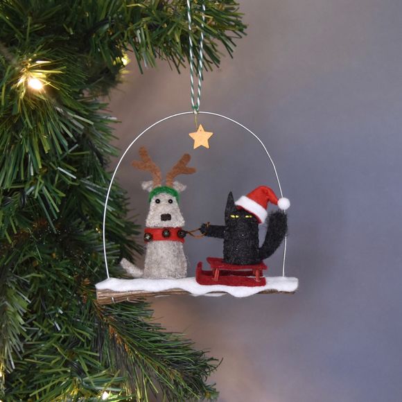 Naughty Cat On Sledge With Reindeer Dog