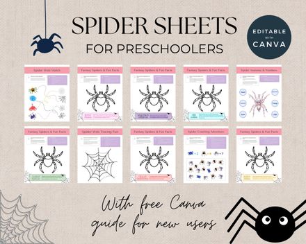pider Activity Worksheets for Preschoolers