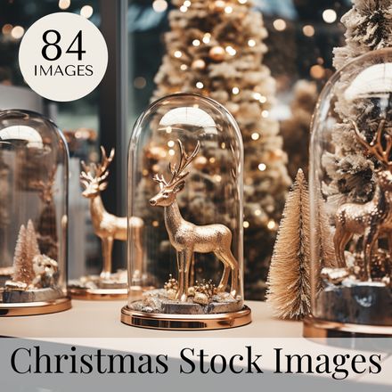 Christmas Stock Photography Collection