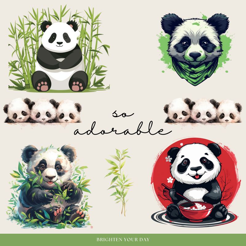 Panda Stickers
