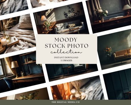 Dark &amp; Moody Stock Photography Collection