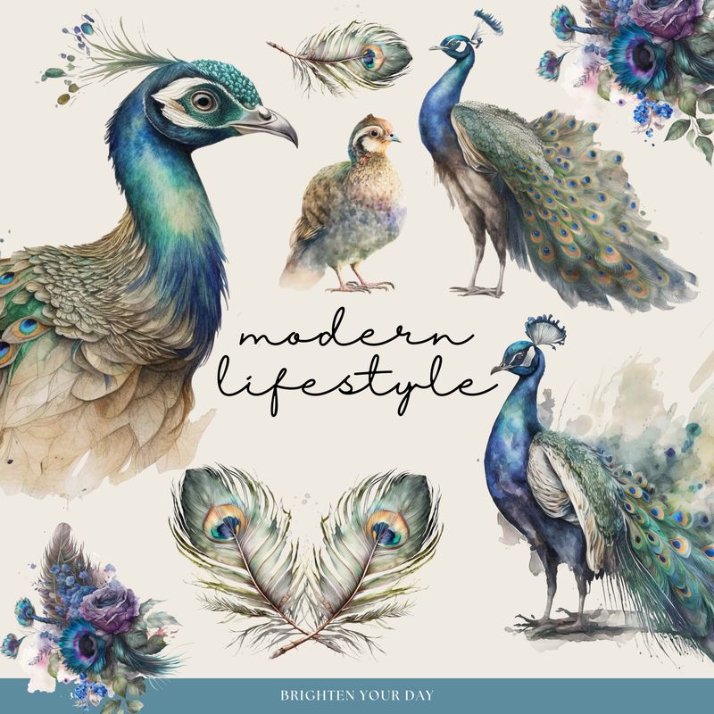Enchanting Peacock Stickers