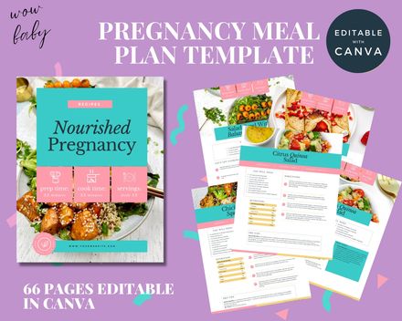 Pregnancy Meal Plan