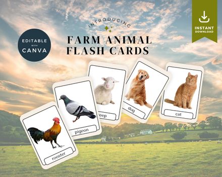 Farm Animal Flash Cards