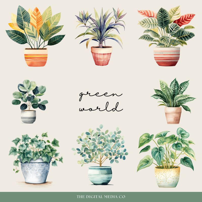 House Plant Digital Stickers