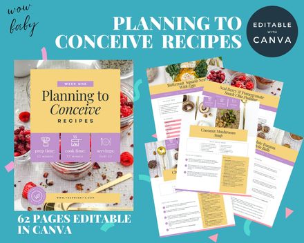 Planning To Conceive Recipes