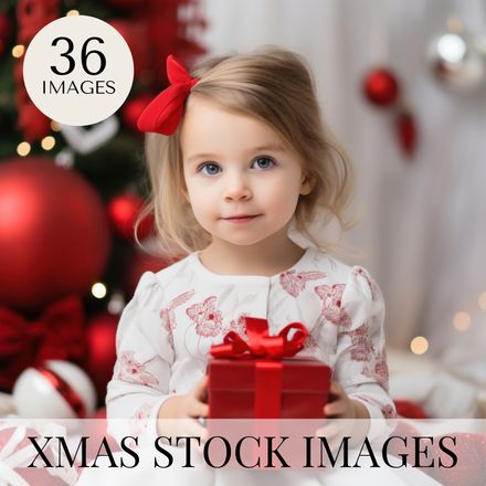 Red Christmas Stock Photography Collection
