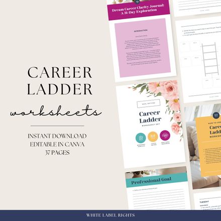 Career Ladder template