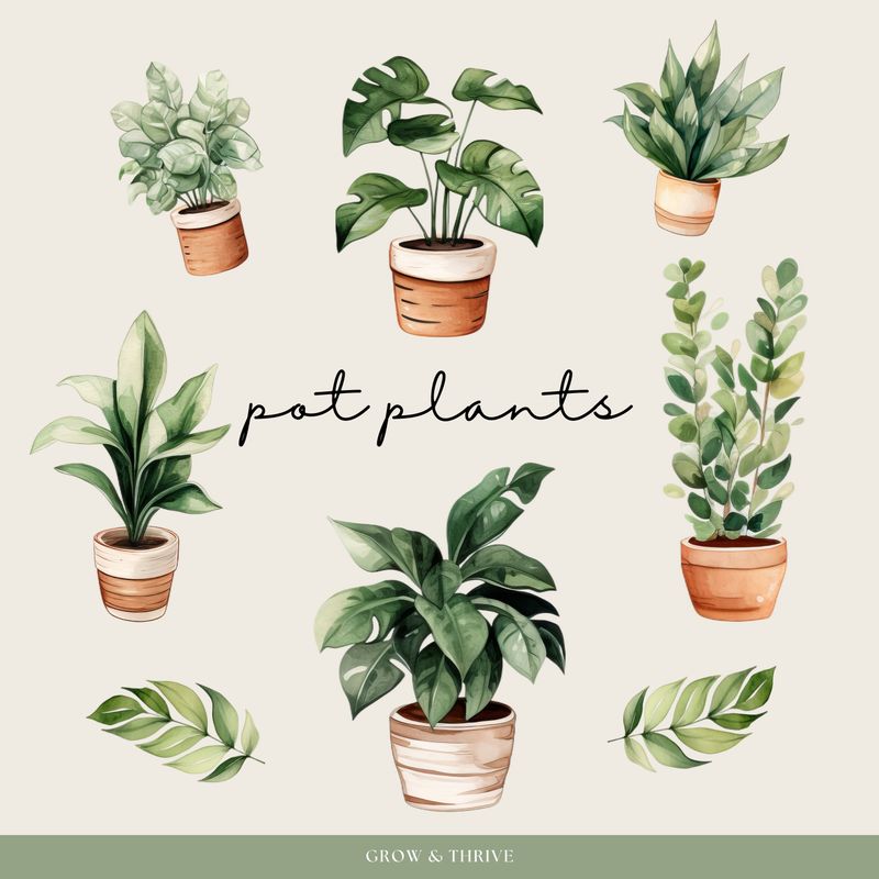 Plant Mama Digital Stickers