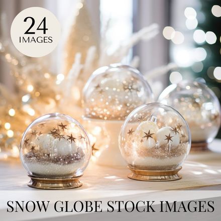 Snow Globe Stock Photography Collection