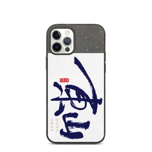 Dongshan iPhone Case