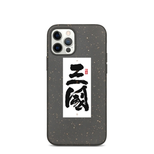 Sanguo iPhone Case