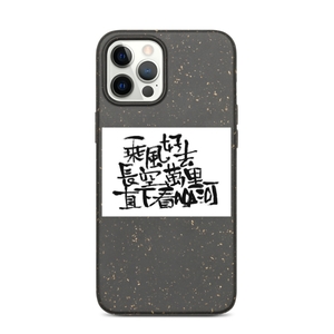 Chengfenghaoqu iPhone Case