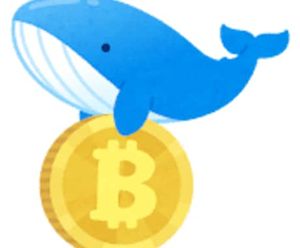 ビット子・サトシ