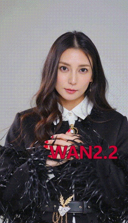 Wan2.2-Shibasaki Ko 柴咲コウ