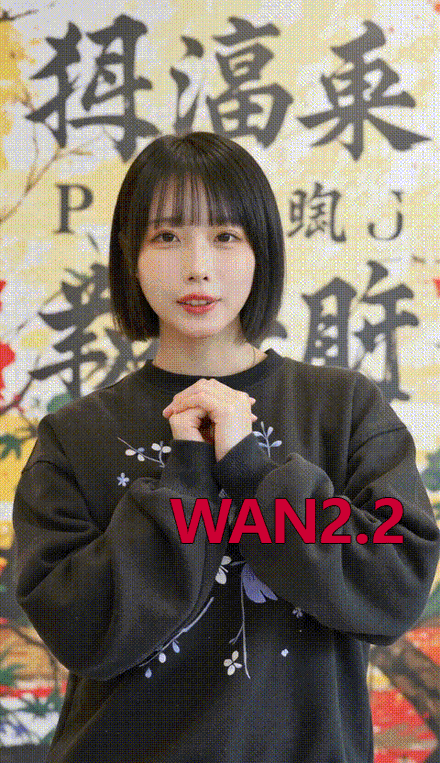 Wan2.2-Ano あの