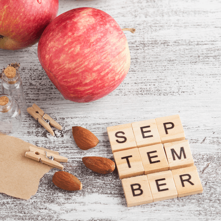 September 2024 Monthly Freebie