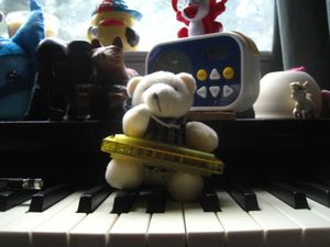 Harmonica sample pack