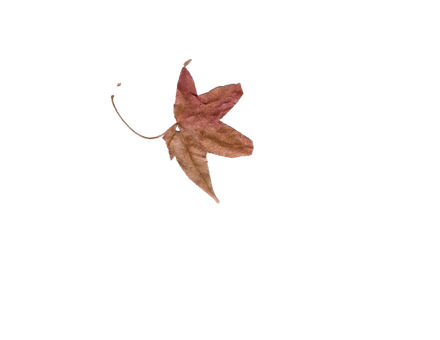 October sample kit free version
