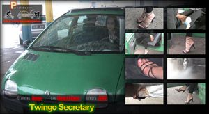 The Twingo Secretary
