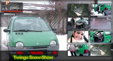 Twingo Snow Show