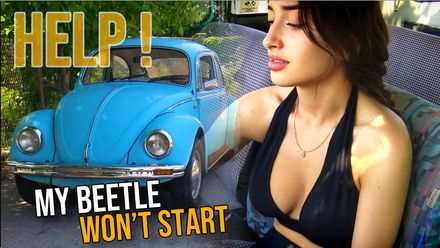 Hot Summer Beetle Cranking