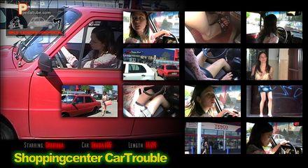 Shoppingcenter Cartrouble