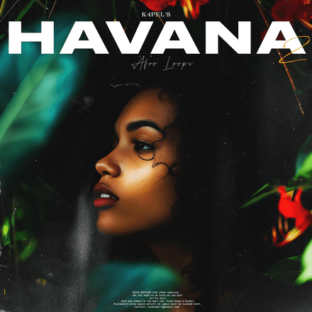 K4pel - &quot;HAVANA 2&quot; Loop Kit (Afro, Omah Lay, Wizkid, Fireboy DML, Rema, Asake)