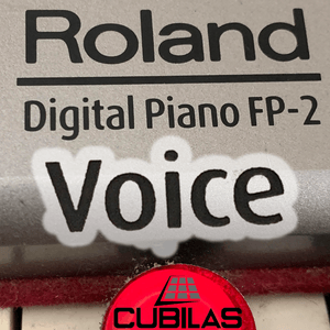 Roland Voice Patch