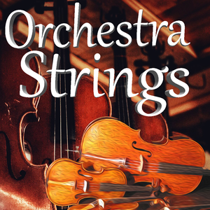 Orchestra Strings MPC Expansion