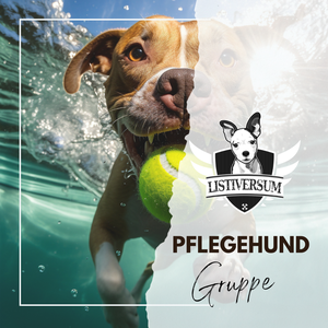 Zugang Pflegehunde-Gruppe (einmalige Gebühr)