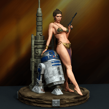 leia R2D2
