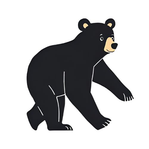 BlackBear Blueprint