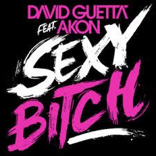 David Guetta &amp; Akon - Sexy Bitch (Rmx100 Remix)