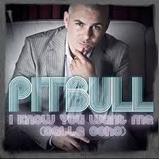 Pitbull - I Know You Want Me (Rmx100 Remix)