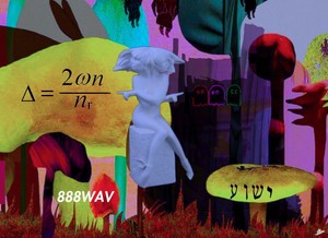 2WN SAMPLE LOOP KIT  by 888WAV