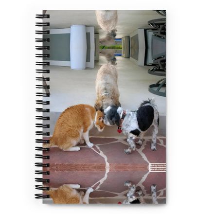 RFischer Spiral Notebook