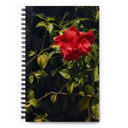 Nathy Spiral Notebook