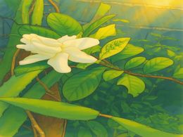 3D White Lily