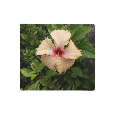 Nathy Peach Gumamela Gaming Mouse Pad