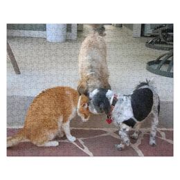 RFischer Jigsaw Puzzle