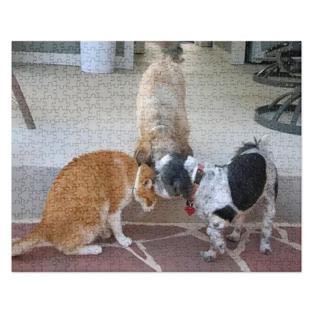RFischer Jigsaw Puzzle
