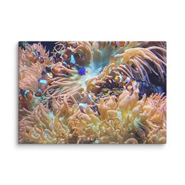 ZAG Orange Corals Canvas (in)
