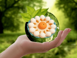 3D Eggs on a Palm