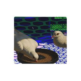 Juvy Birds Gaming Mouse Pad