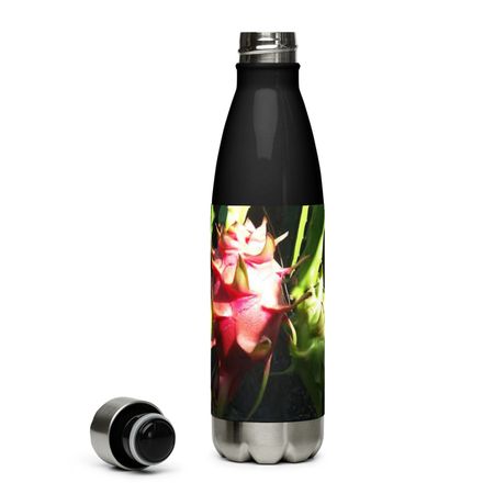 Nathy Dragonfruit Stainless Steel Water Bottle